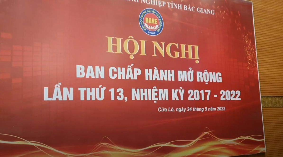 Hội nghị Ban chấp hành mở rộng Hiệp hội doanh nghiệp tỉnh Bắc Giang lần thứ 13